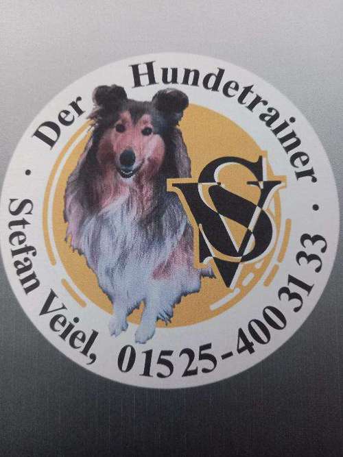 Hundeauslaufgebiet-Der Hundetrainer-Bild