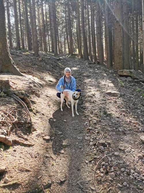 Hundeauslaufgebiet-Hundeschule Pfotenzauber-Bild