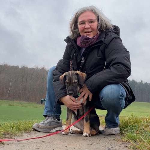 Hundeauslaufgebiet-Diana Habegger Coach & Trainer für Hundehalter-Bild