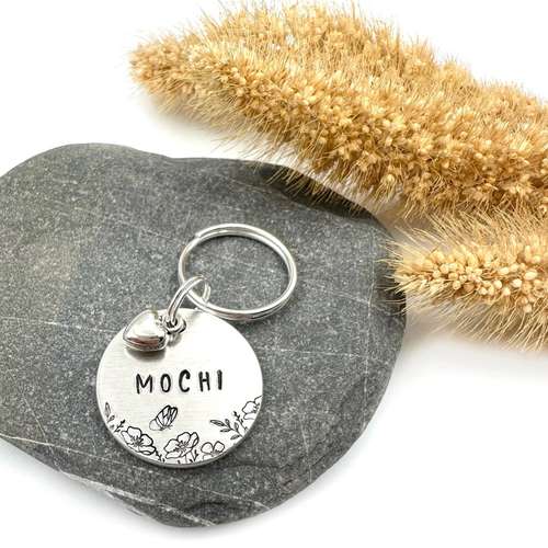 Hundeauslaufgebiet-Border Collier-Bild