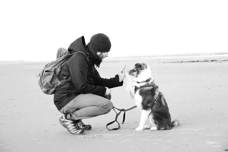 Hundeauslaufgebiet-Hundeschule Herzblut-Bild