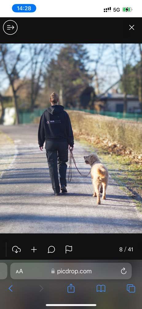 Hundeauslaufgebiet-Dog Door Hundetraining-Bild