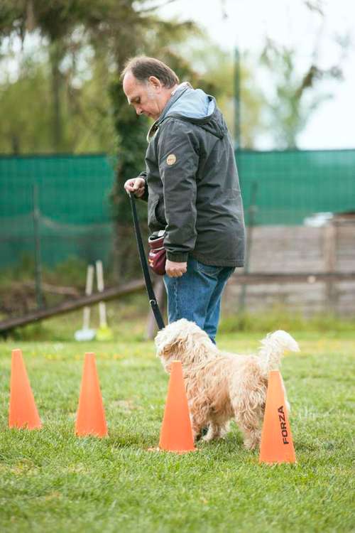 Hundeauslaufgebiet-Hundeschule ohne Worte-Bild