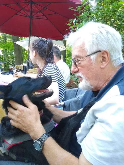 Hundeauslaufgebiet-Individual Dog Service - Bernd Wilfroth-Bild