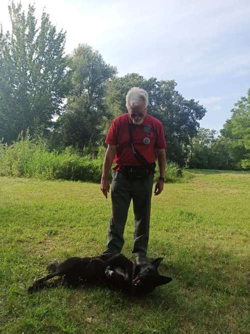 Hundeauslaufgebiet-Individual Dog Service - Bernd Wilfroth-Bild