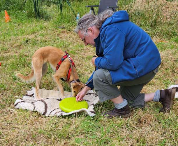 Hundeauslaufgebiet-Hundeschule BoLy-Bild