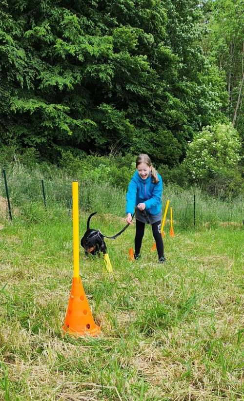 Hundeauslaufgebiet-Hundeschule BoLy-Bild