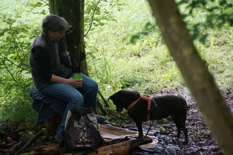 Hundeauslaufgebiet-Hundeschule BoLy-Bild