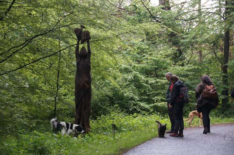 Hundeauslaufgebiet-Hundeschule BoLy-Bild