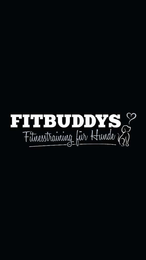 Hundeauslaufgebiet-FITBUDDYS Hundephysio & Ernährung-Bild