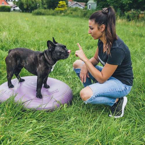 Hundeauslaufgebiet-FITBUDDYS Hundephysio & Ernährung-Bild