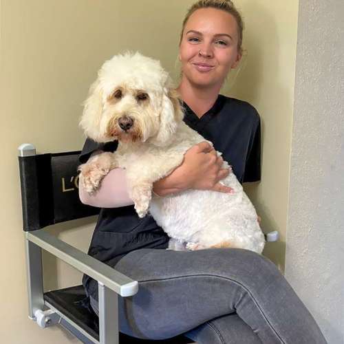 Hundeauslaufgebiet-KAHU Hundesalon-Bild