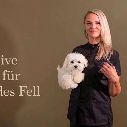 Hundeauslaufgebiet-KAHU Hundesalon-Bild