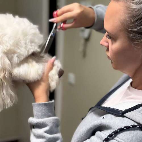 Hundeauslaufgebiet-KAHU Hundesalon-Bild