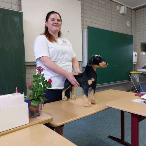 Hundeauslaufgebiet-Tierheilpraxis Andrea Göhl-Bild