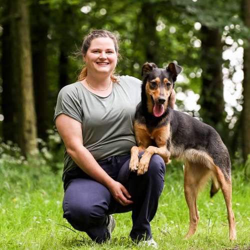 Hundeauslaufgebiet-Tierheilpraxis Andrea Göhl-Bild