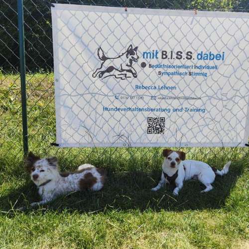 Hundeauslaufgebiet-mit B.I.S.S. dsbei-Bild