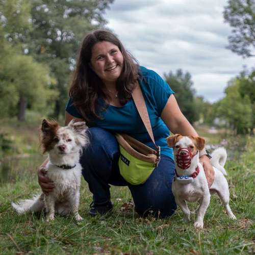 Hundeauslaufgebiet-mit B.I.S.S. dsbei-Bild