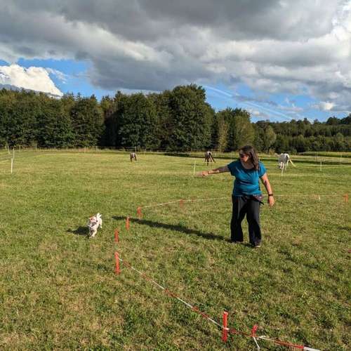 Hundeauslaufgebiet-mit B.I.S.S. dsbei-Bild