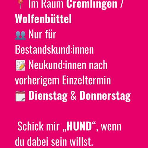 Hundeauslaufgebiet-BetterDogether-Bild