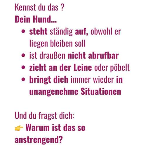 Hundeauslaufgebiet-BetterDogether-Bild