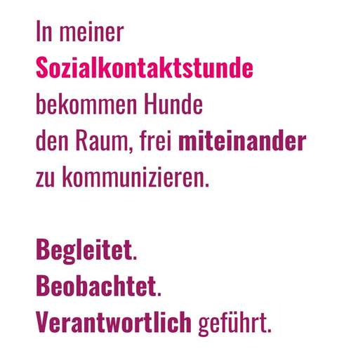 Hundeauslaufgebiet-BetterDogether-Bild