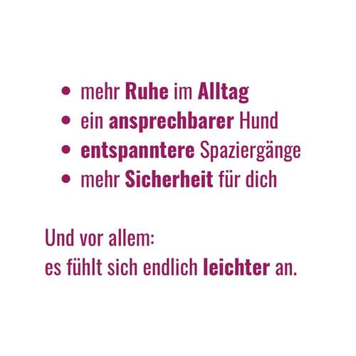 Hundeauslaufgebiet-BetterDogether-Bild