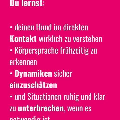 Hundeauslaufgebiet-BetterDogether-Bild