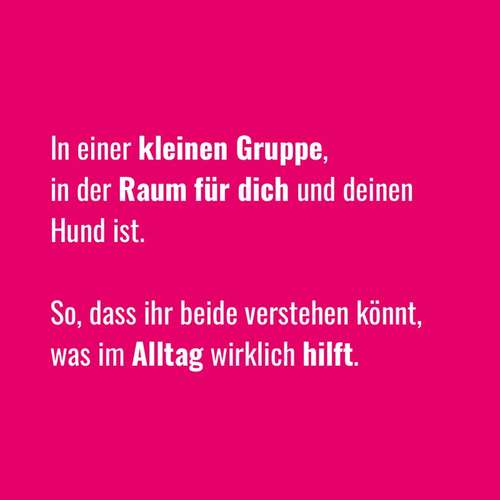 Hundeauslaufgebiet-BetterDogether-Bild