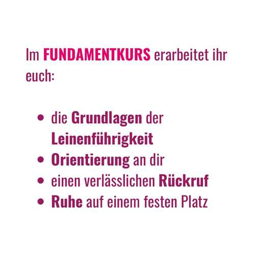 Hundeauslaufgebiet-BetterDogether-Bild