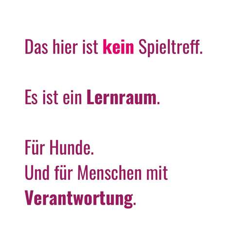 Hundeauslaufgebiet-BetterDogether-Bild