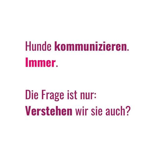 Hundeauslaufgebiet-BetterDogether-Bild