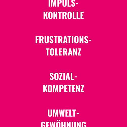 Hundeauslaufgebiet-BetterDogether-Bild