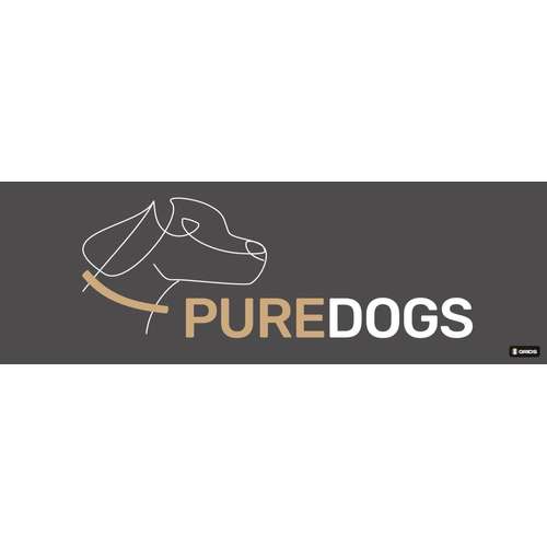 Hundeauslaufgebiet-Puredogs-Bild