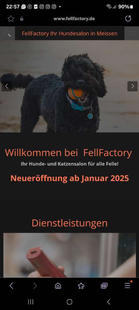 Hundeauslaufgebiet-Hundesalon FellFactory Meißen-Bild