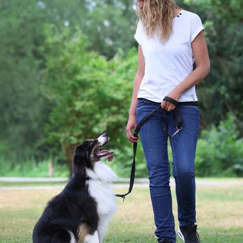 Hundeauslaufgebiet-Hundeschule Madeleine Richter-Bild