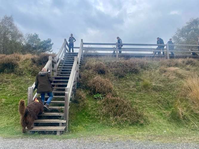 Hundeauslaufgebiet-Kynoharmony - Carinas Hundeakademie-Bild