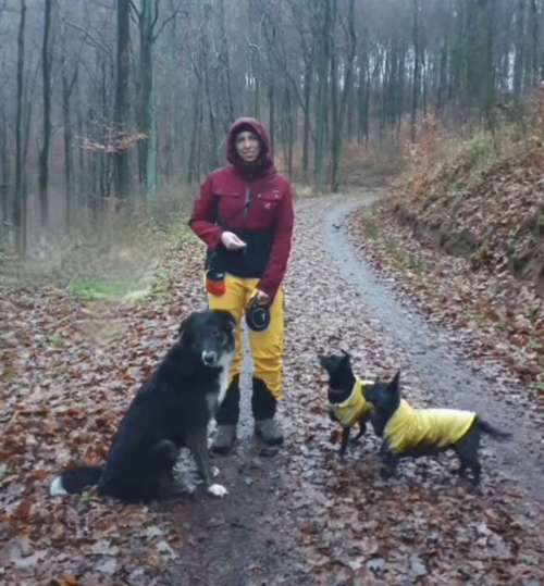 Hundeauslaufgebiet-Kathi UnderDog(s)-Bild