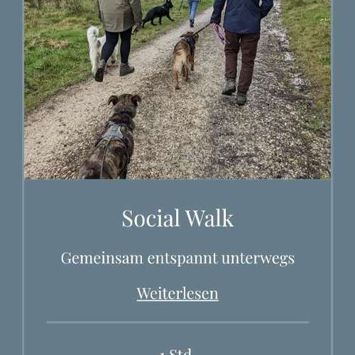 Hundeauslaufgebiet-VZMountainDogs-Bild