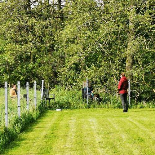 Hundeauslaufgebiet-VZMountainDogs-Bild