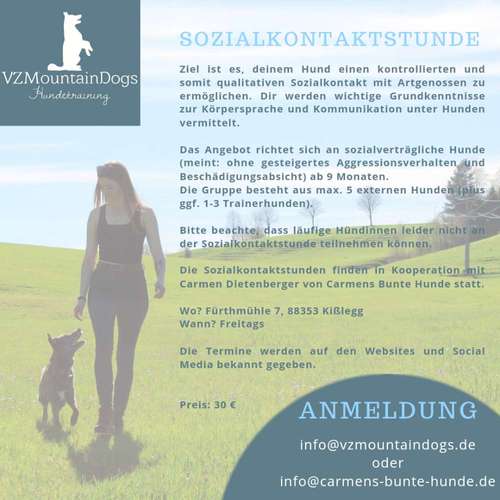 Hundeauslaufgebiet-VZMountainDogs-Bild