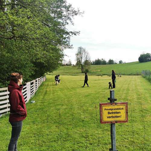 Hundeauslaufgebiet-VZMountainDogs-Bild