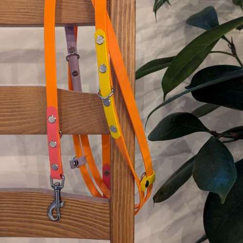 Hundeauslaufgebiet-Hundherum Wesseling-Bild