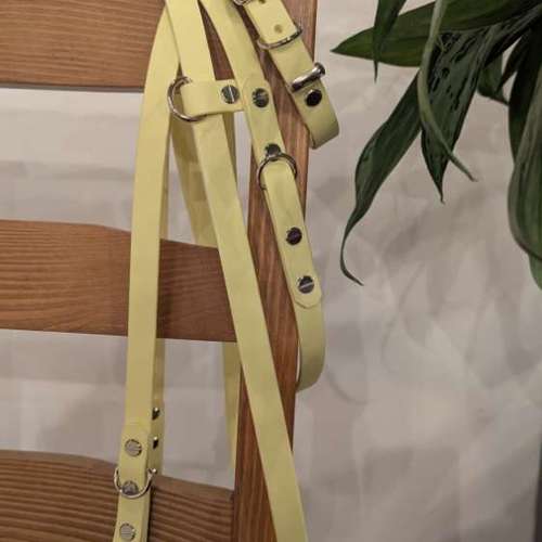 Hundeauslaufgebiet-Hundherum Wesseling-Bild