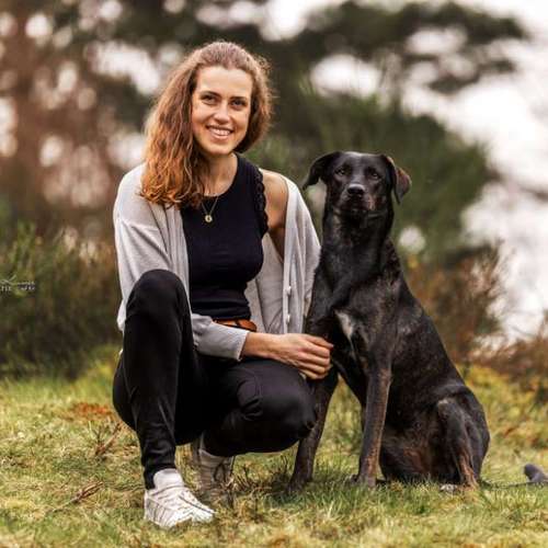 Hundeauslaufgebiet-Hundherum Wesseling-Bild