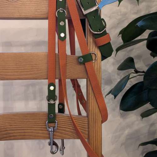 Hundeauslaufgebiet-Hundherum Wesseling-Bild