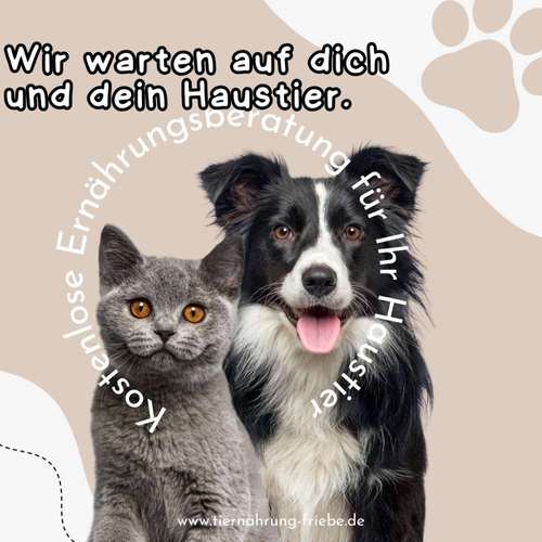 Hundeauslaufgebiet-THP Gutjahr-Bild