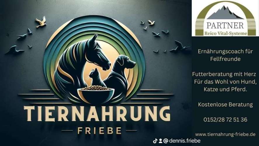 Hundeauslaufgebiet-Ernährungscoach Friebe-Bild