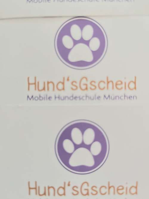 Hundeauslaufgebiet-HundsGscheid Mobile Hundeschule-Bild