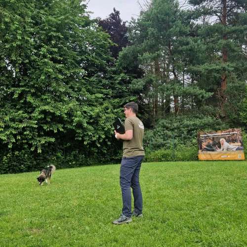 Hundeauslaufgebiet-Martin Rütter Hundeschule Zürich Stadt-Bild